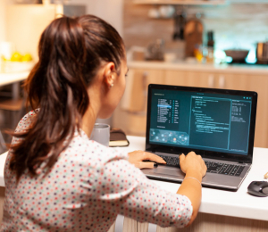Java / Liferay Developer
